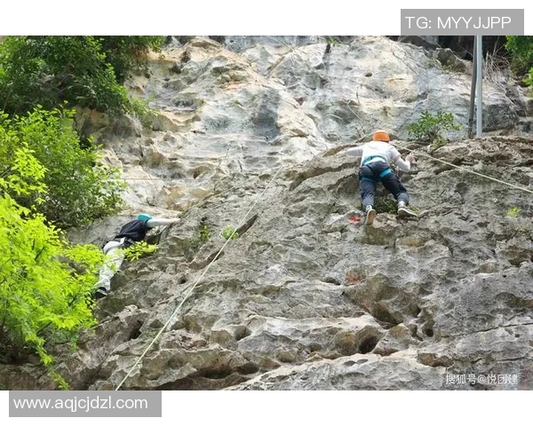 广州攀岩队团队协作引发热议背后的争议与思考