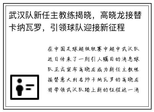 武汉队新任主教练揭晓，高晓龙接替卡纳瓦罗，引领球队迎接新征程